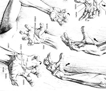 你最怕的手部动作这就来了！！