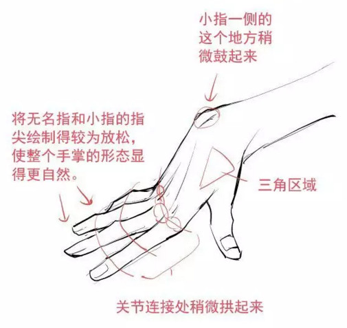 河南画室速写教程让画的手充满质感吧