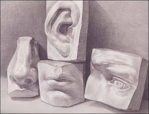 郑州画室培训-素描石膏像有助于训练造型能力提高