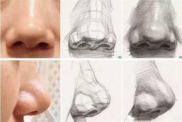 郑州较好的画室素描鼻子画法详解