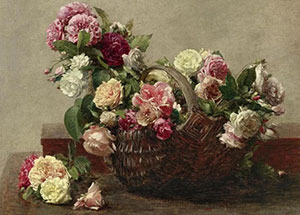 分享 | 拉图尔花卉高清图分享