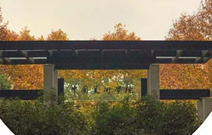 郑州画室丨笑笑美术兵团丨2018年中国美术学院素描高分卷