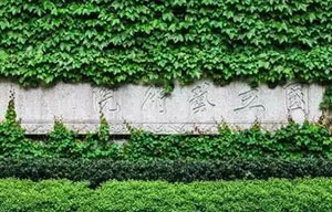 中国美术学院专业方向与录取最详解