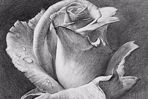 素描静物中有哪些比较难_郑州画室哪家好？