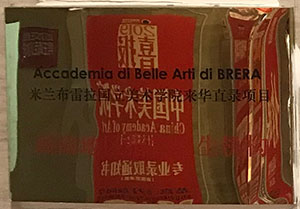 米兰布雷拉国立美院来华直录考点