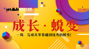 一周完成从零基础到优秀的蜕变！