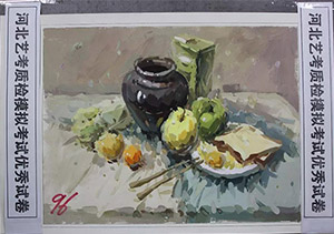 2020届河北省第二次美术模拟考试色彩高分试卷