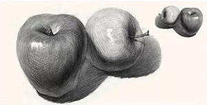 素描教程分享|“神奇”的苹果怎样画？