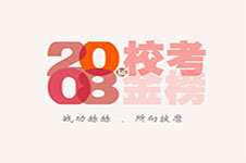 笑笑美术兵团2008届校考战绩