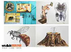 考试真题！2020年清美，央美，国美，鲁美校考都考了啥？快看看吧！