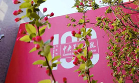 2020年九大美院本科招生录取分数线汇总