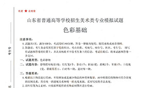 2021届山东省美术联考一模色彩高分卷