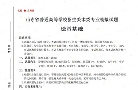 2021届山东省美术联考一模素描高分卷