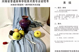 2020届河南省一模联考高分卷