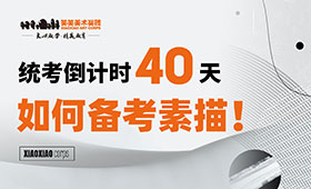 河南美术统考倒计时40天，如何备考素描！