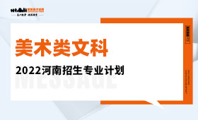 2022年河南艺术类招生计划-美术类文科｜校考+统考