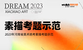 2023年河南省美术统考素描考题示范