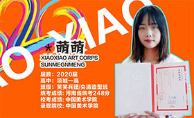 成功录取国美，孙萌萌：只要努力没什么不可能