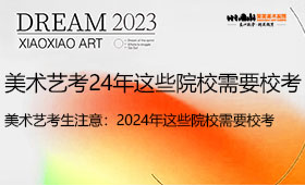 美术艺考生注意：2024年这些院校需要校考