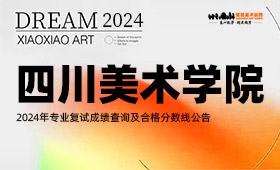 四川美术学院2024年专业复试成绩查询及合格分数线公告