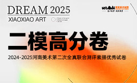 2025届河南省美术统考二模素描高分卷