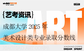 成都大学2025年美术设计类专业录取分数线