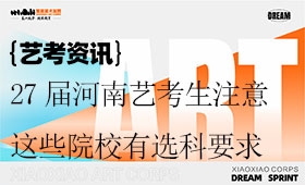 27届河南艺考生注意，这些院校艺考专业有选科要求