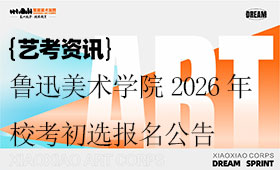 鲁迅美术学院2026年艺术类本科校考初选报名公告