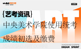 中央美术学院使用艺术类省统考成绩初选专业结果查询及缴费通知