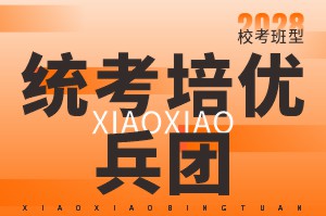 河南美术高考集训-笑笑美术兵团统考培优兵团