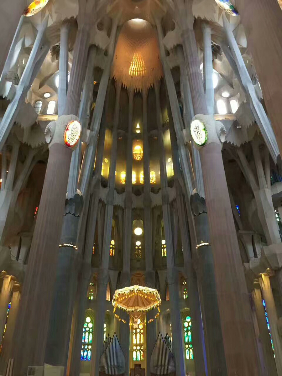 1517387739504742.jpg 微信图片_20180116173148.jpg