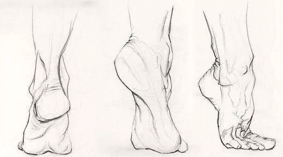 郑州美术培训速写人体脚部结构