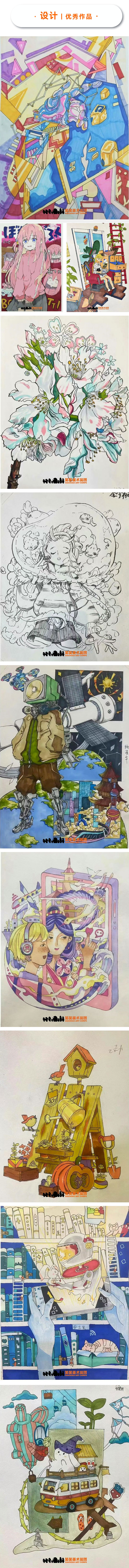 1781335341299224.jpg 9.jpg